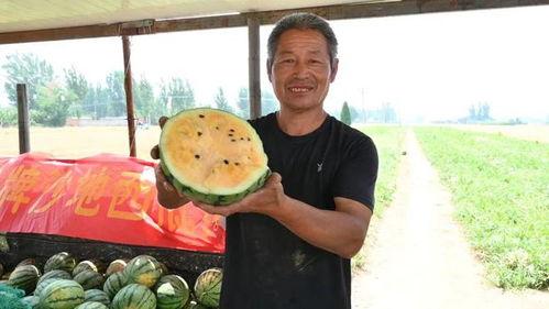 忻州最新吃瓜事件视频 第3张 忻州最新吃瓜事件视频 第3张