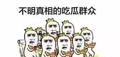 吃瓜群众劲爆视频,吃瓜群众视角下的娱乐圈风云  第2张