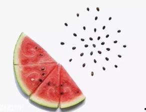 吃瓜不吐籽的视频,揭秘视频中的趣味瞬间