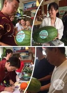 大舒城吃瓜群众视频播放  第2张