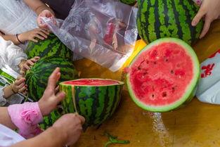 吃瓜怎么才能吃好吃视频,揭秘吃瓜美味秘诀