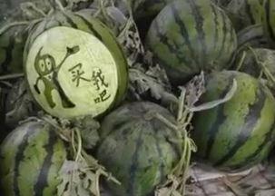 滨州吃瓜少女是谁啊视频,网络爆红背后的故事  第3张