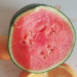 武穴吃瓜视频  第3张