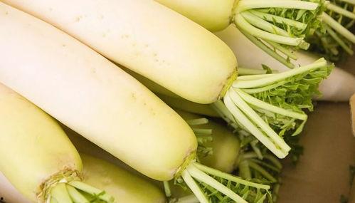 茭瓜粘液多可以吃吗视频 第3张 茭瓜粘液多可以吃吗视频 第3张