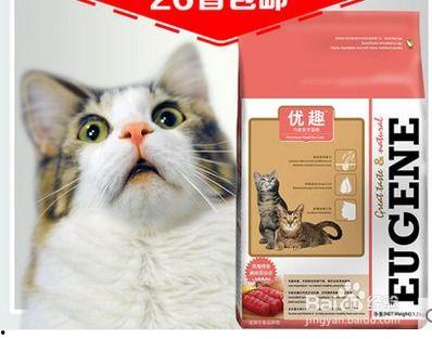 睡鼠可以吃蜜瓜吗视频,探索睡鼠的饮食习惯 第2张 睡鼠可以吃蜜瓜吗视频,探索睡鼠的饮食习惯 第2张