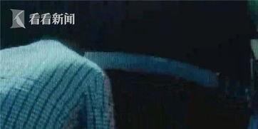 吃瓜群众在线切瓜视频,吃瓜群众在线切瓜，趣味横生短视频引热议  第2张