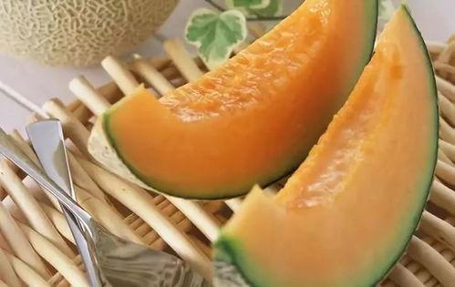 吃哈密瓜的视频拍同款,跟随视频一起品尝甜蜜滋味 第2张 吃哈密瓜的视频拍同款,跟随视频一起品尝甜蜜滋味 第2张