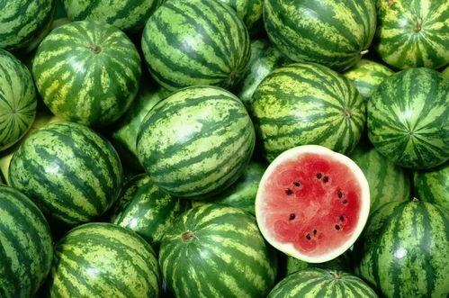 买瓜老板吃瓜视频大全播放,揭秘买瓜老板吃瓜视频大全的火爆魅力  第3张