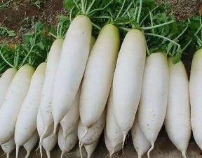 吃瓜厨房泡萝卜怎么做视频,吃瓜厨房家常美味分享  第3张