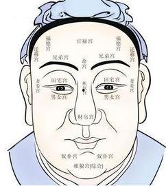 吃瓜的面相图解视频下载,视频图解带你一探究竟