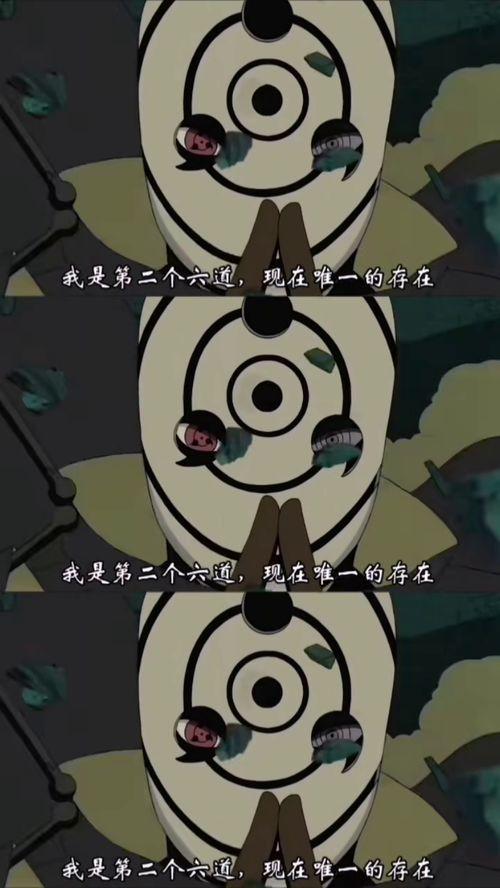 在下小羊吃瓜视频,趣味横生的田园生活瞬间  第3张