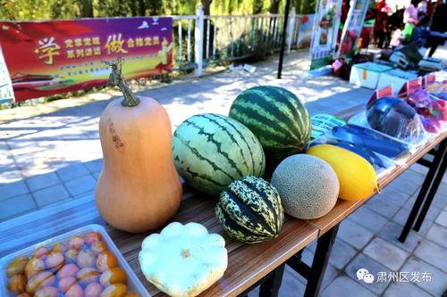 农大跳舞吃瓜视频大全最新 第2张 农大跳舞吃瓜视频大全最新 第2张