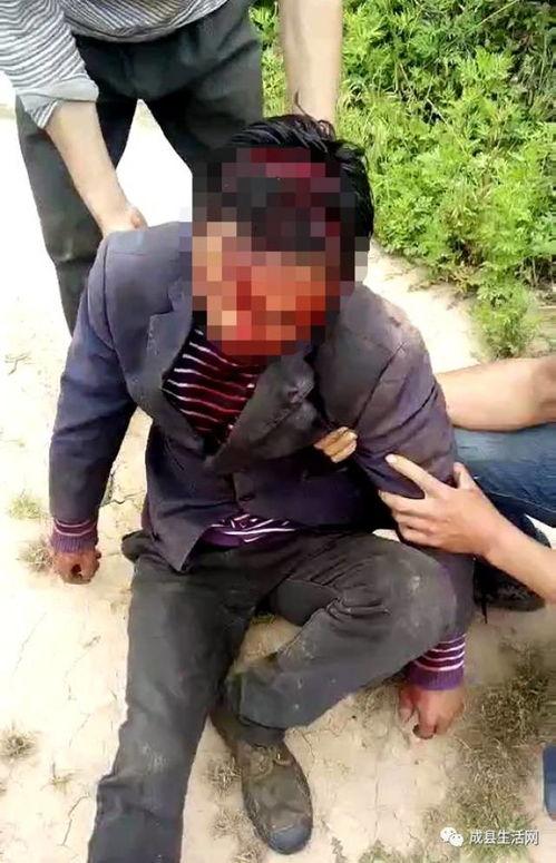 成县吃瓜事件视频,一场网络舆论的风暴与反思  第2张