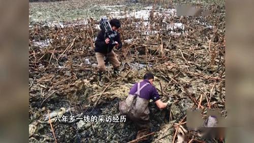 成县吃瓜事件视频,一场网络舆论的风暴与反思  第3张